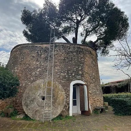 Masseria Gatto Bianco Provenzani * Casalabate
